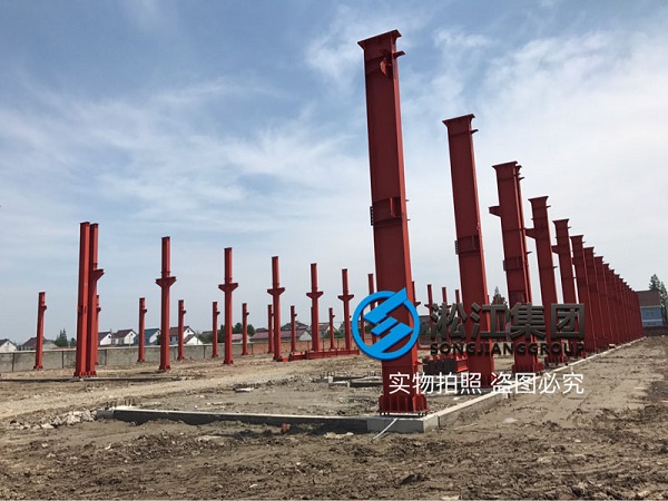 上海淞江减震器集团南通有限公司工厂项目进展