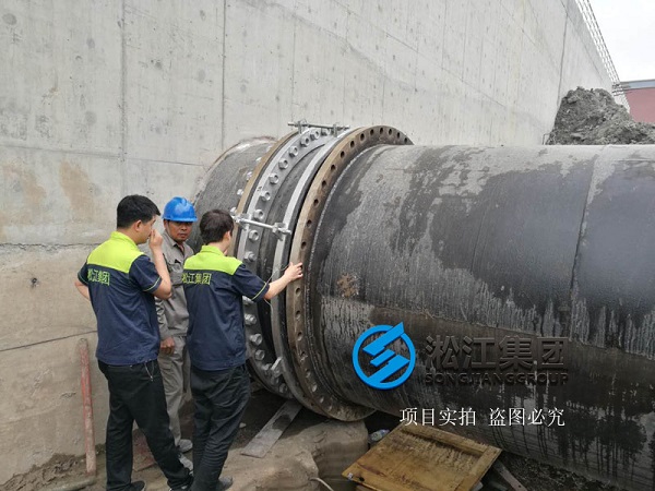 上海市竹园污水处理厂橡胶接头安装使用现场